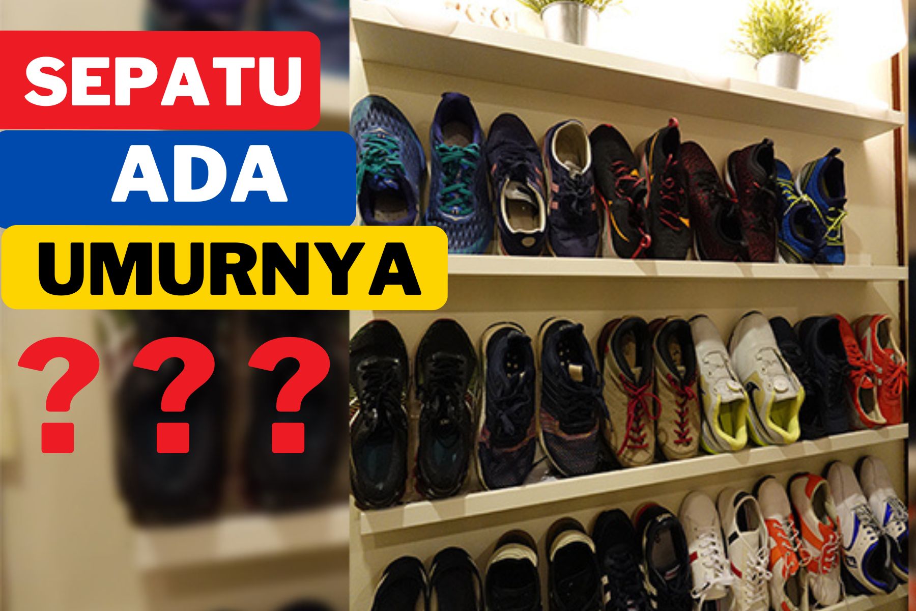 Memangnya sepatu ada umurnya ?